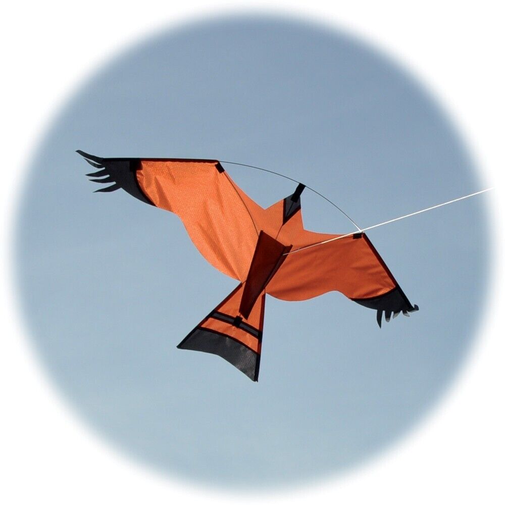 Hawk - Bird of Prey - Single Line Kite