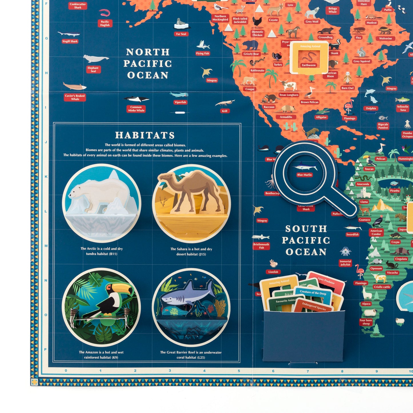 Create An Amazing Animal Kingdom Giant Map