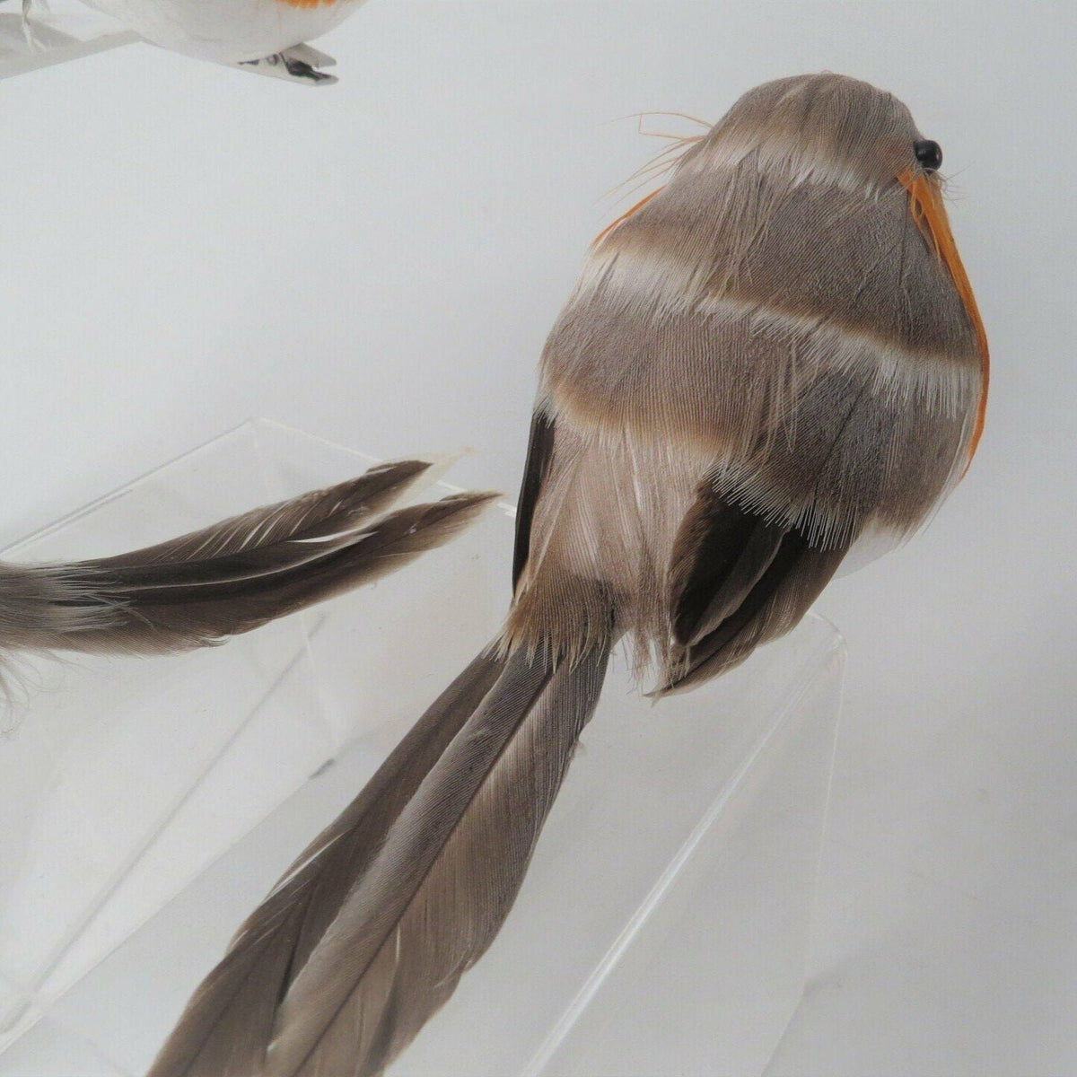 Clip on Feather Robin Christmas Decoration