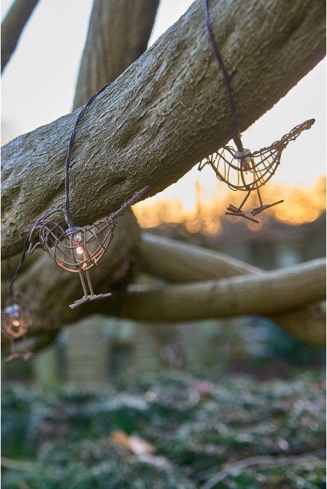 Solar and Or Battery Robin Chain LED String Lights