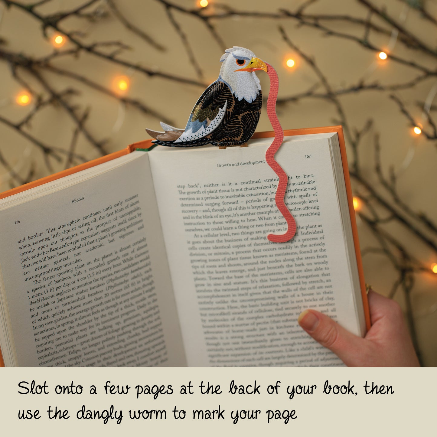 Eagle Early Bird Catches The Bookworm Bookmark