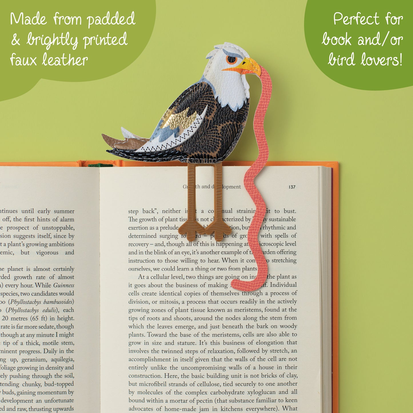 Eagle Early Bird Catches The Bookworm Bookmark