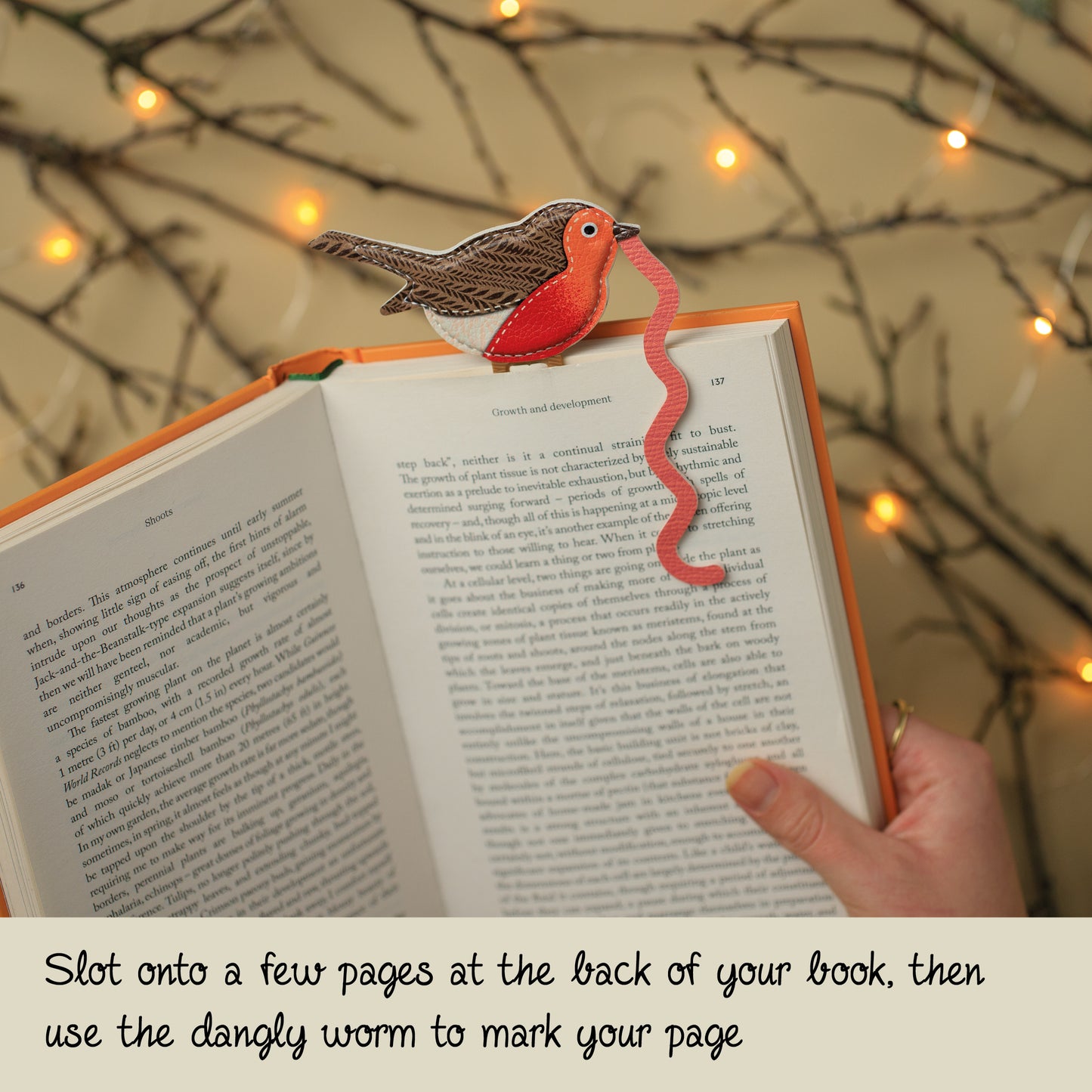 Robin Early Bird Catches The Bookworm Bookmark