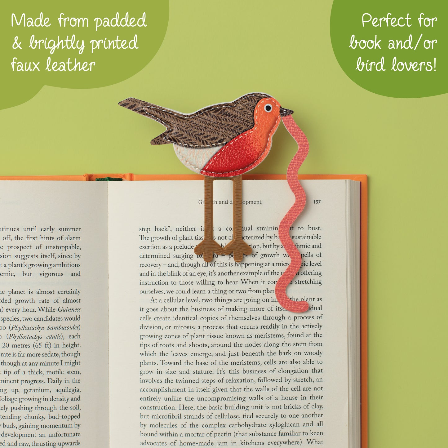 Robin Early Bird Catches The Bookworm Bookmark