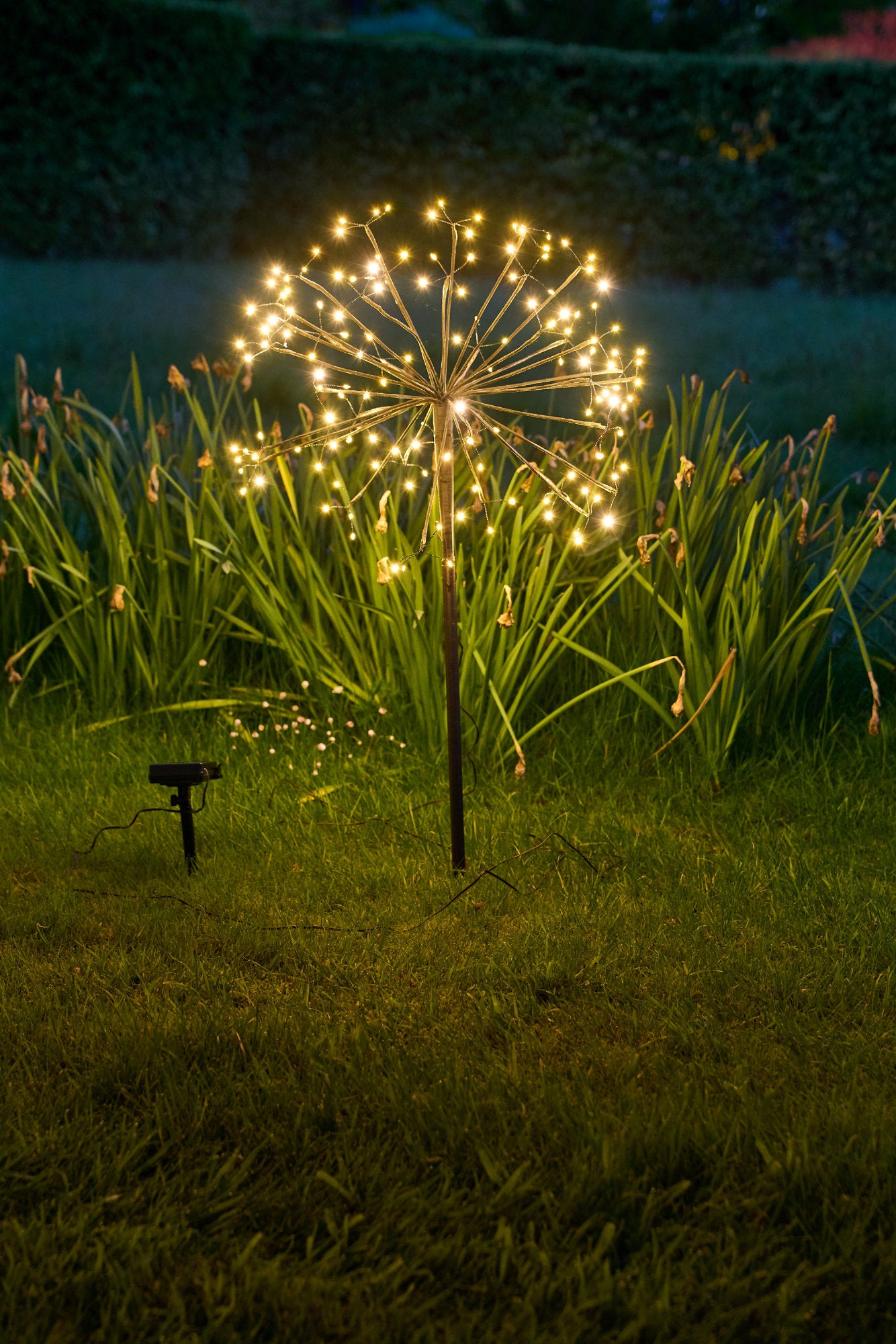 Dandelion 35cm Solar Garden Lights -Outdoor Stake Light - LED Warm White