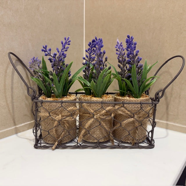 Three Lavender Pots In Wire Basket