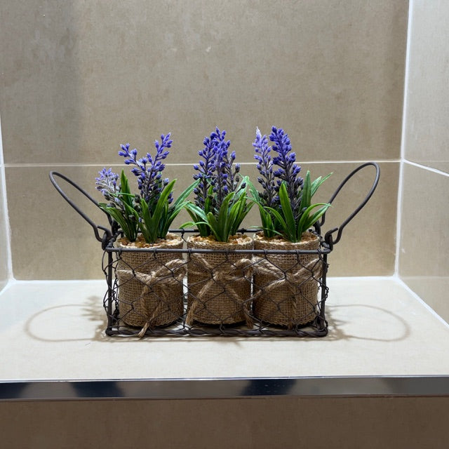 Three Lavender Pots In Wire Basket