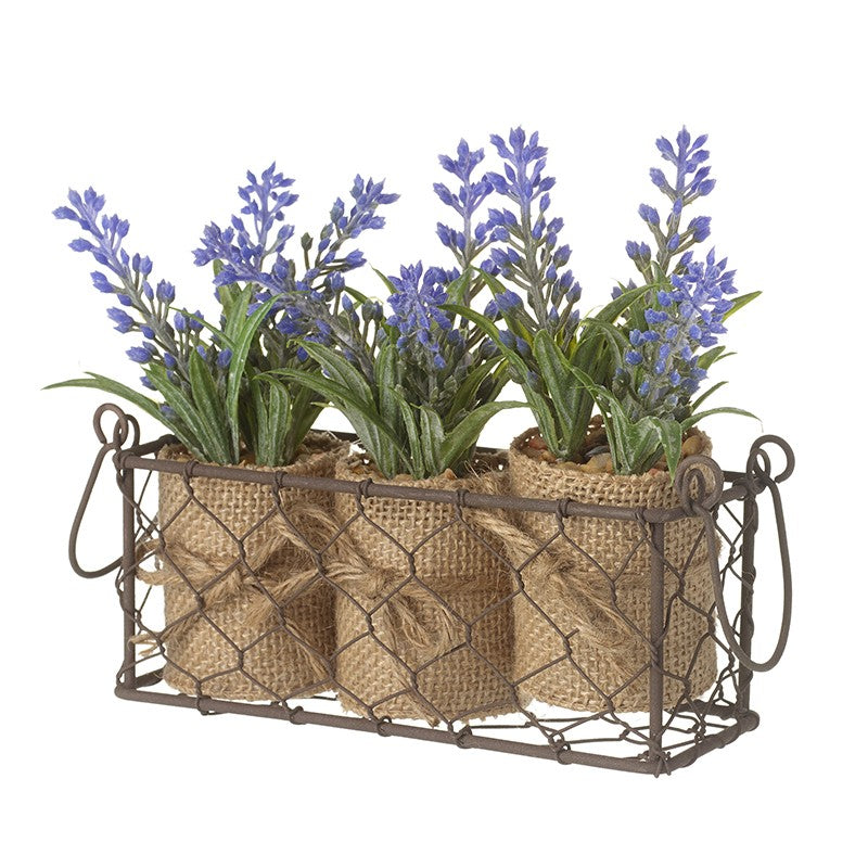 Three Lavender Pots In Wire Basket