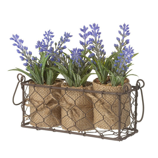 Three Lavender Pots In Wire Basket