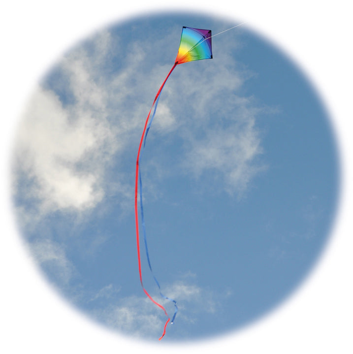 Spirit of Air Midi Diamond Pirate Kite