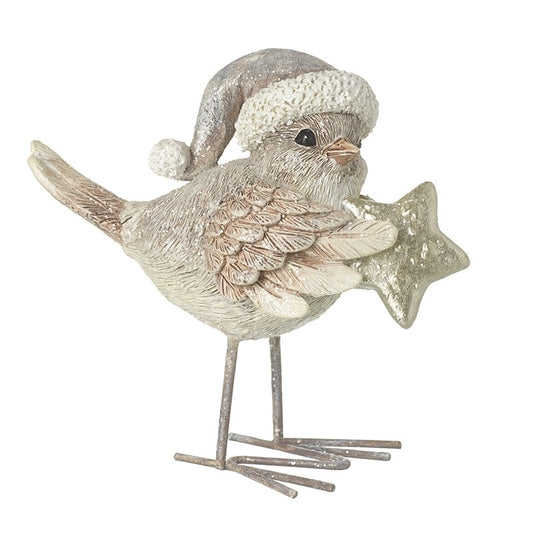 Standing Bird In Hat Holding Star