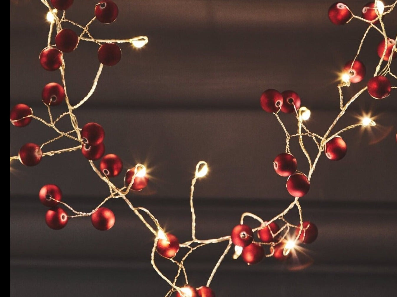 Red Berry Mains Powered LED Fairy Light Chain