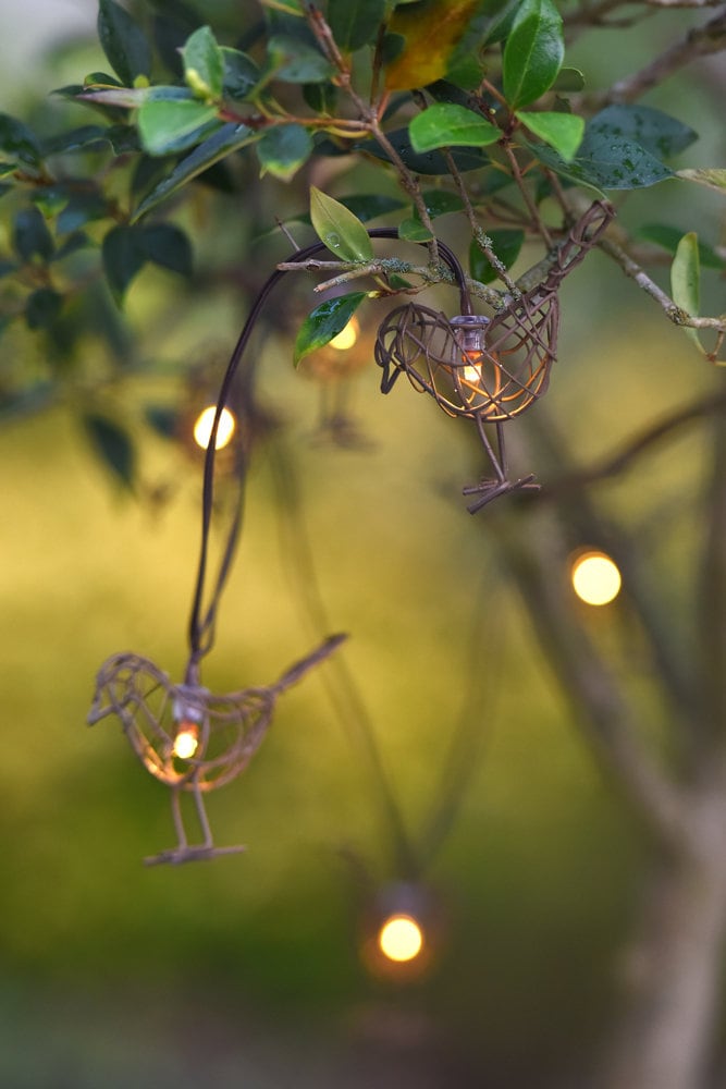 Solar and Or Battery Robin Chain LED String Lights