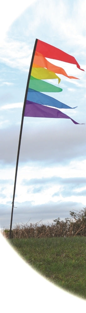Spirit of Air Streamer Banner 3.75m Flag Kit Stake & Pole