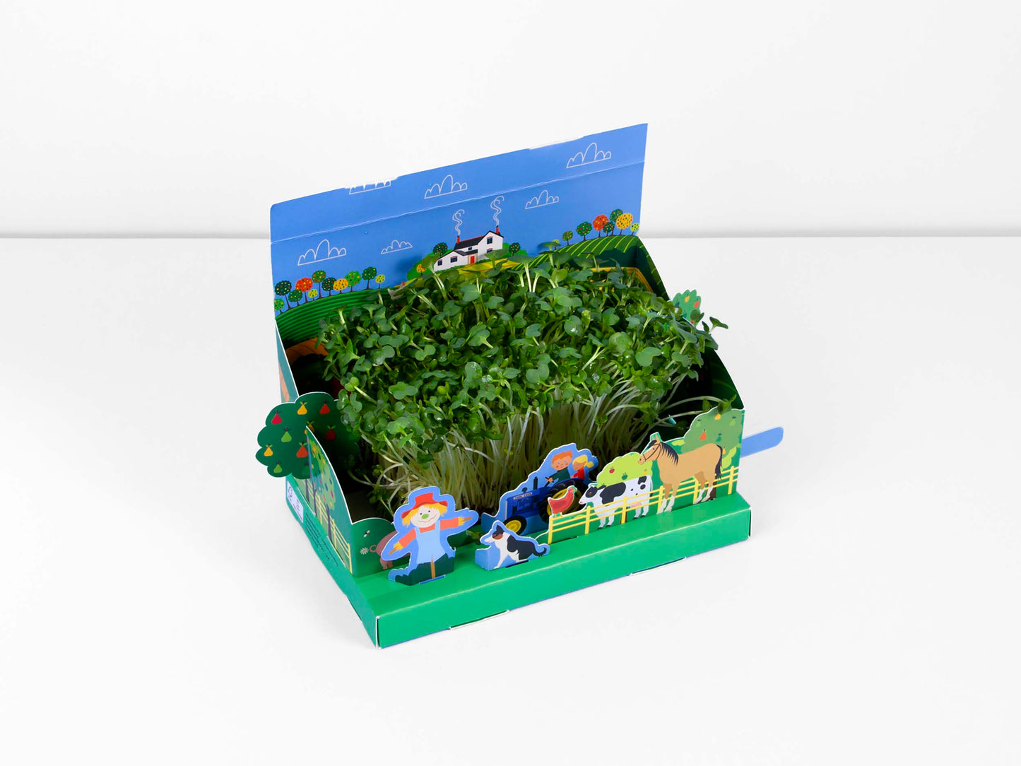 Grow Your Own Mini Farmyard Garden