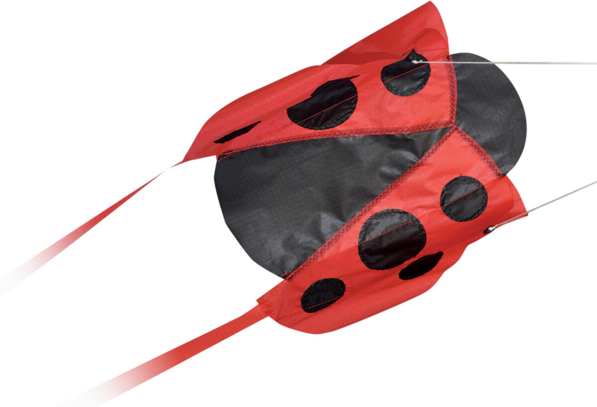 Spirit of Air Pocket Ladybug Kite
